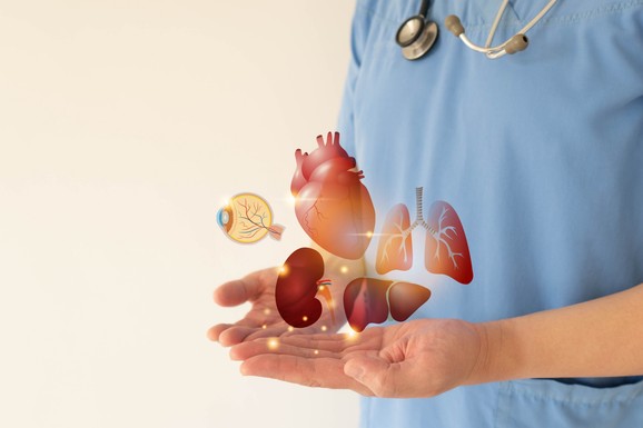Skupština Srbije usvojila novi Zakon o transplantaciji ljudskih organa