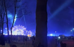 'Sylwester z Dwójką' koszmarem zwierząt. Nie wiedziały, jak uciec przed fajerwerkami [WIDEO]