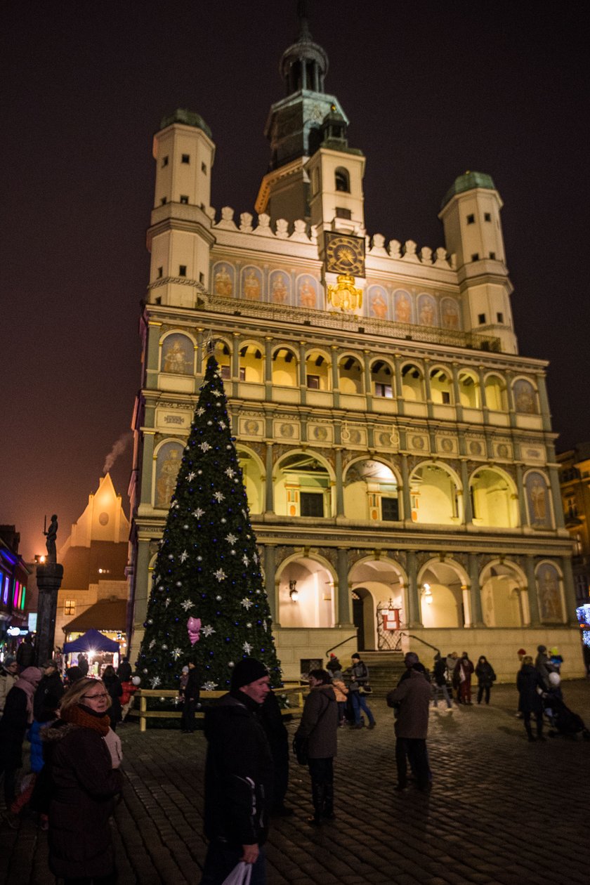 Miejska choinka w Poznaniu rozświetlona