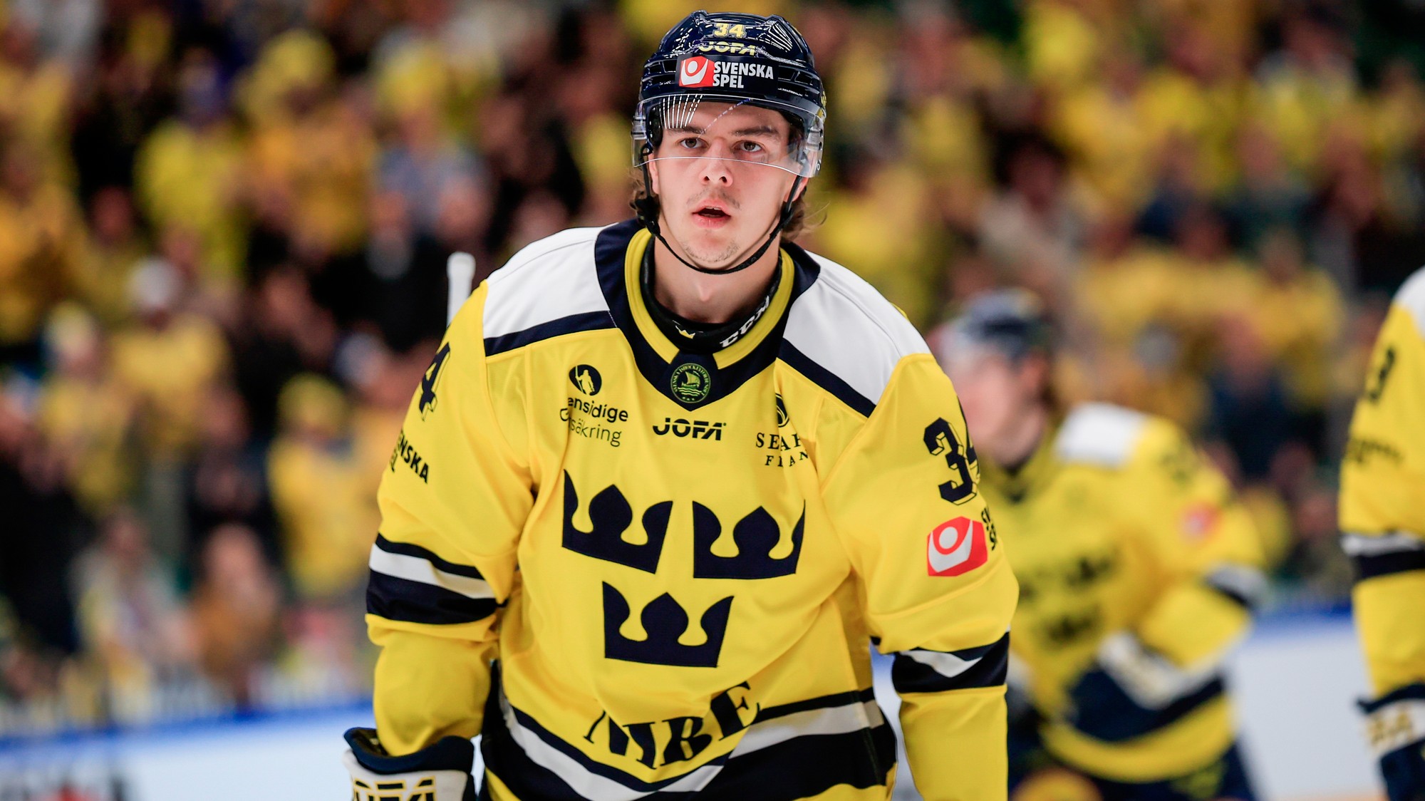 Švédsky hokejista Alberg Johansson.