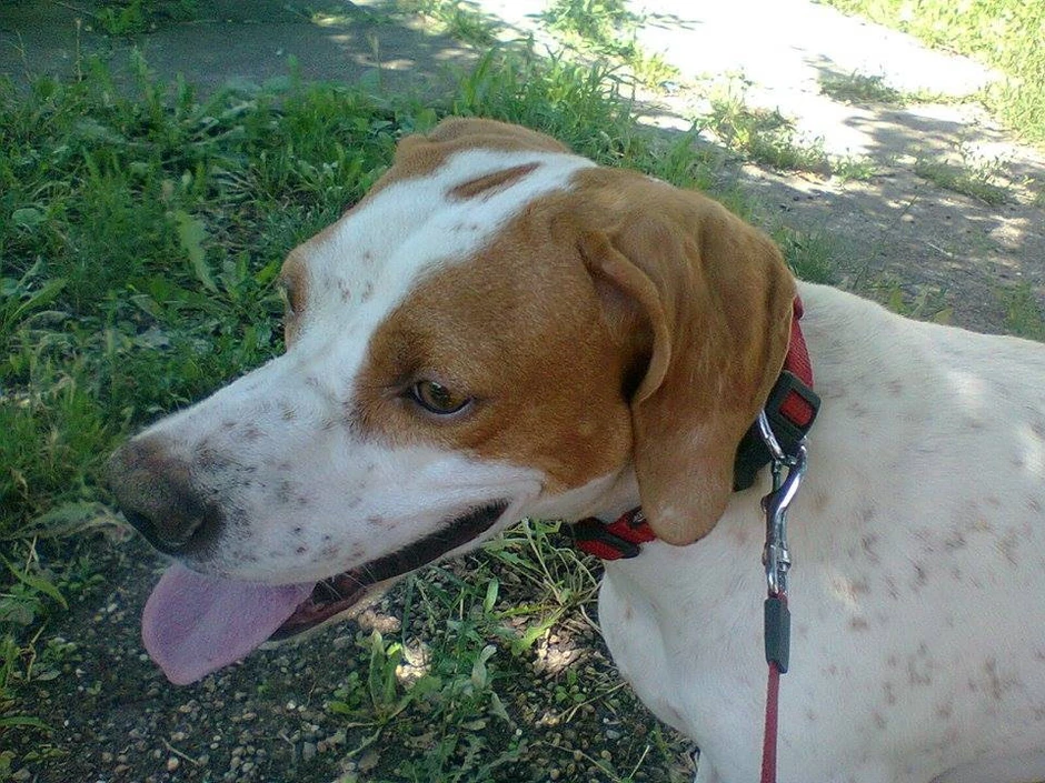 Umiljata je i voli decu