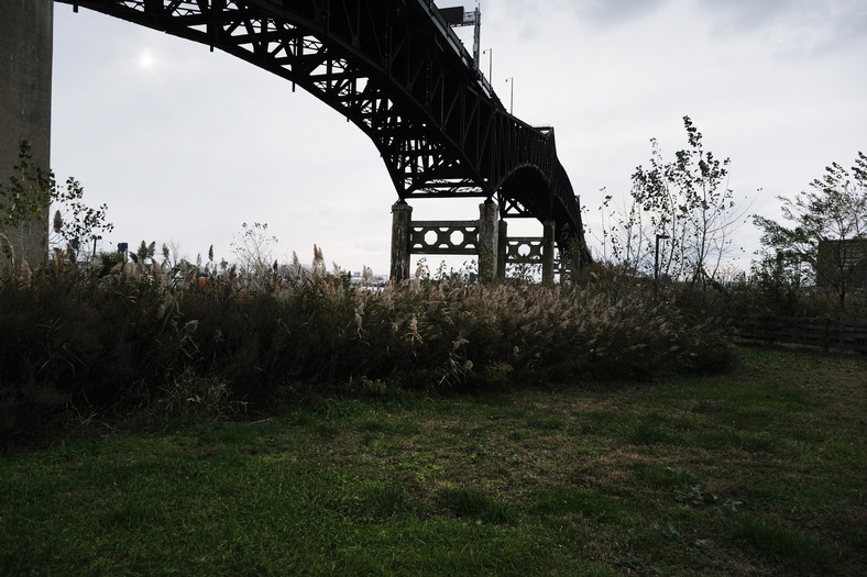 Według informatora FBI ciało Jimmy'ego Hoffy mogło zostać pochowane pod tym mostem, znanym jako Most Pułaskiego w Jersey City w stanie New Jersey. Poszukiwania FBI przy użyciu radaru nie przyniosły rezultatów 