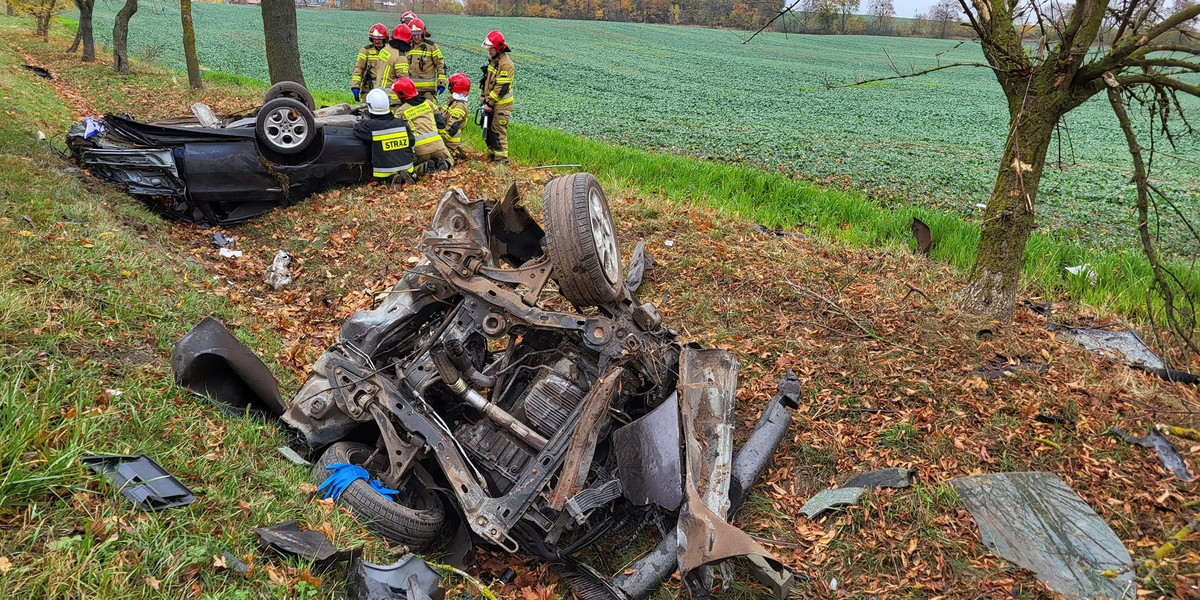 Auto ścięło drzewo i zatrzymało się w rowie. W dwóch częściach. Tragedia pod Giżyckiem.