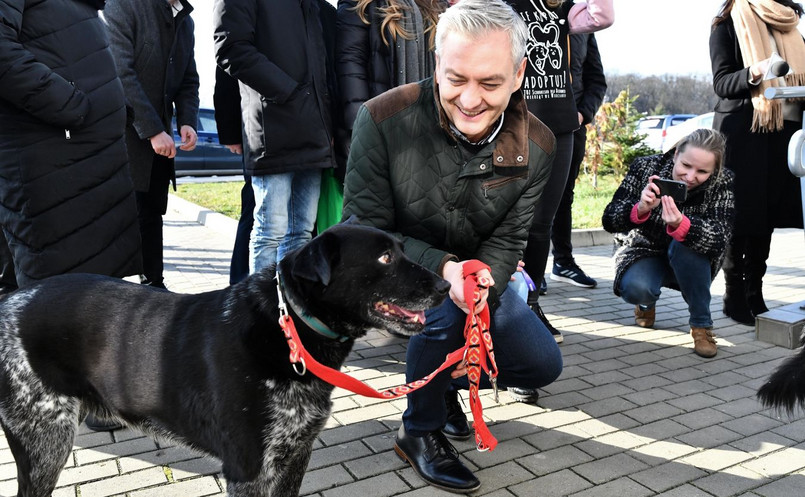 Robert Biedroń, kandydat Lewicy na prezydenta, zapowiedział w niedzielę we Wrocławiu, że jeśli zostanie wybrany na urząd Prezydenta RP, to powoła rzecznika praw zwierząt.