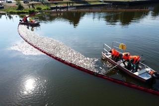 Odra będzie wracać do życia przez wiele lat