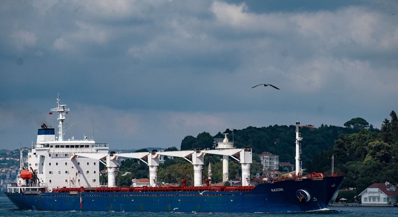 The Razoni was the first vessel to leave Ukraine under the UN agreement.YASIN AKGUL / Contributor / Getty