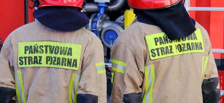 Pożar stajni w Zielonej Górze. "Ogień nie został jeszcze opanowany"