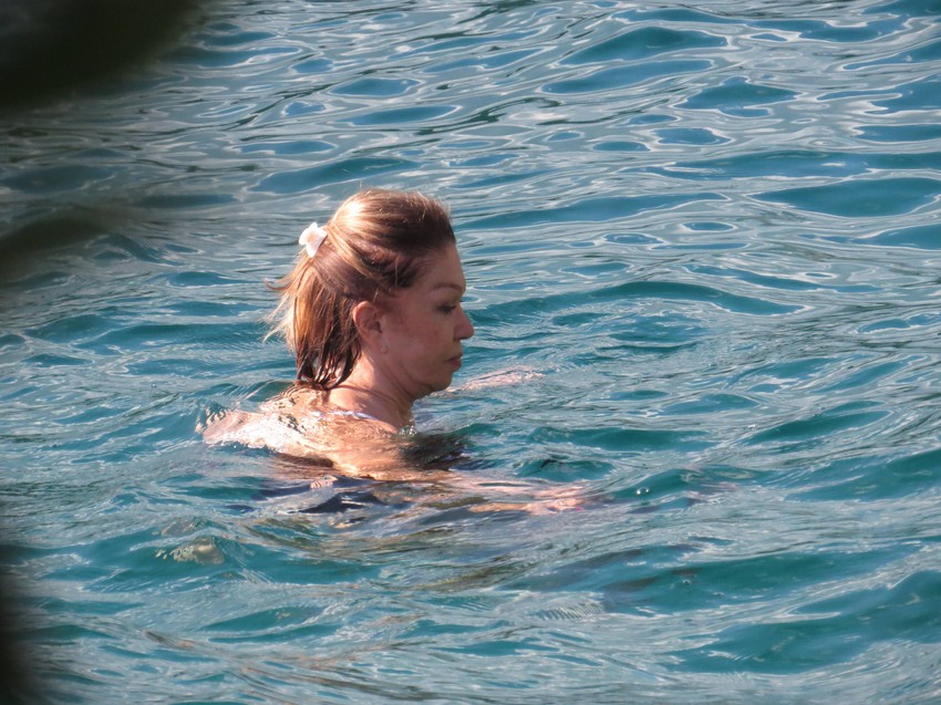 crna gora neda ukraden