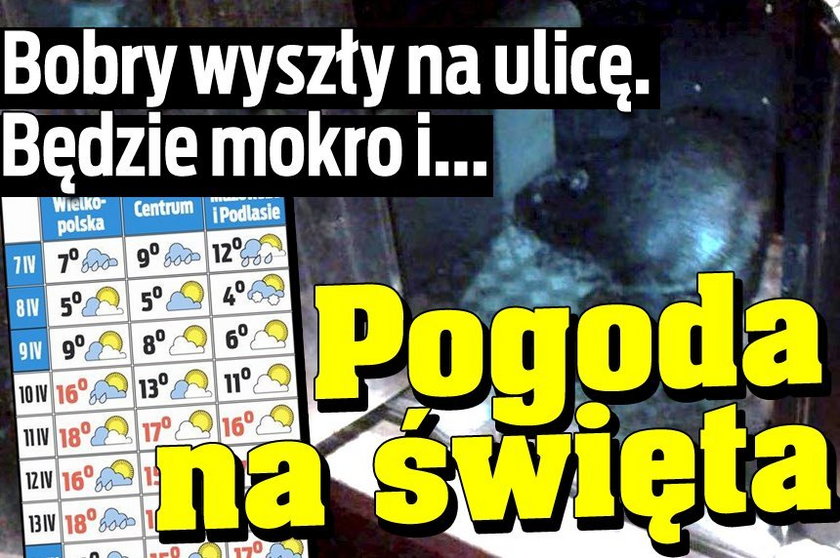 Pogoda na święta. Będzie mokro i...