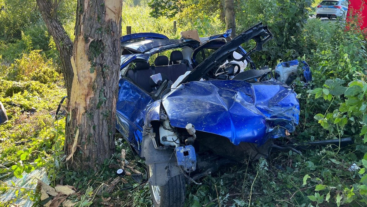 Tragiczny wypadek pod Oleśnicą. Zginęło dwóch młodych mężczyzn