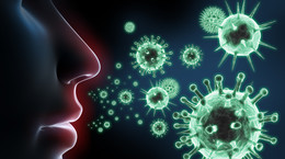 The influence of zinc on immunity.  Time to take care of your diet?