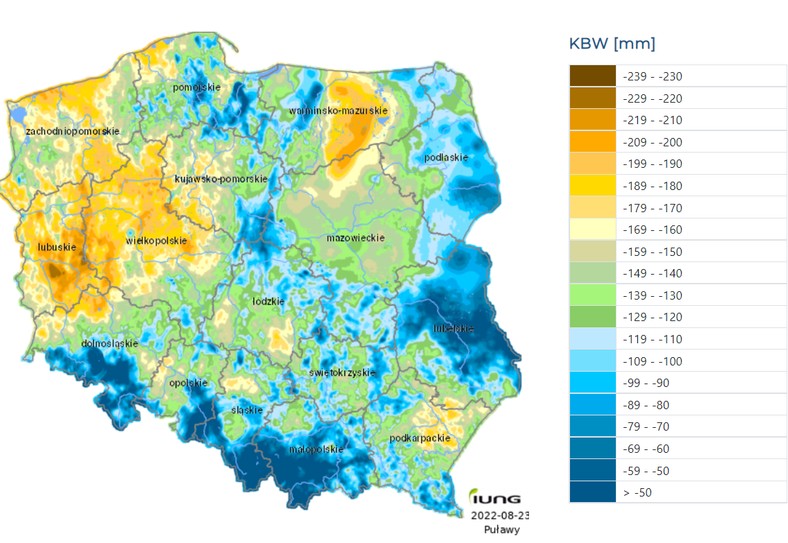 Wartość wskaźnika KBW