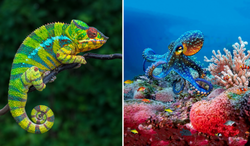 Biologiczne zagadki.  Sprawdź swoją wiedzę w krótkim QUIZ-ie. 7/10 punktów to świetny wynik