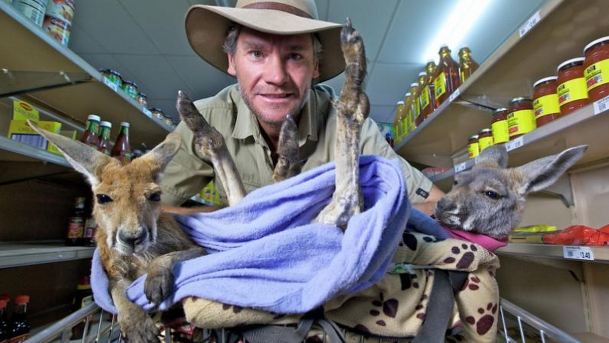 Jest wysoki, przystojny, mieszka na australijskim odludziu i poświęcił życie ratowaniu i wychowywaniu małych osieroconych kangurków. Teraz, dzięki programowi telewizyjnemu, Chris Barnes stał się bohaterem Australii – i obiektem westchnień kobiet z całego świata…