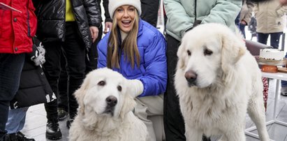 "Dzień Dobry TVN". Z kamerą wśród widzów