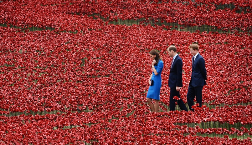 Na zieleni trawników dawnej fosy wokół Tower pojawiły się wczoraj pierwsze dziesiątki, setki, potem tysiące i dziesiątki tysięcy ceramicznych, czerwonych maków na wysokich na metr prętach.