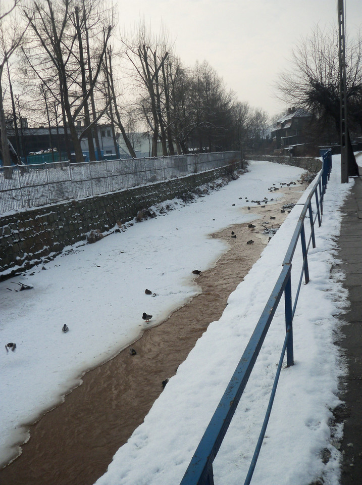 Świebodzice, Fot. Ella/Daj znać!