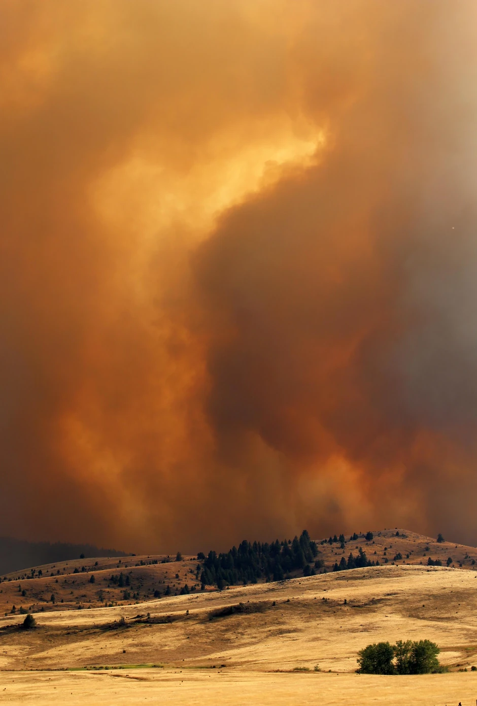 Požari u Oregonu - Kenjon Krik