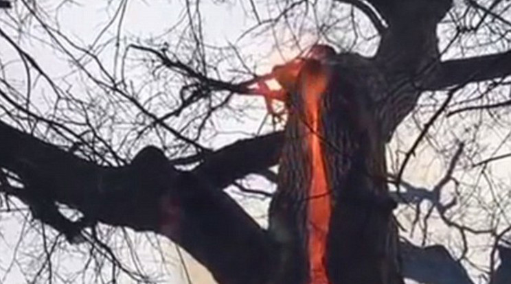 Belülről, füst nélkül égett a fa /Fotó: YouTube
