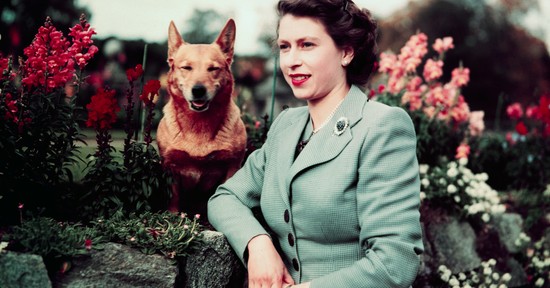 Ha megtudod, mi volt Erzsébet királynő civil munkája, egészen másképp emlékezel majd rá