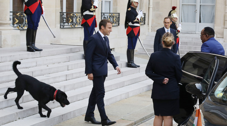 Némó a politikusokat is együtt fogadja új gazdájával, Macronnal / Fotó: AFP