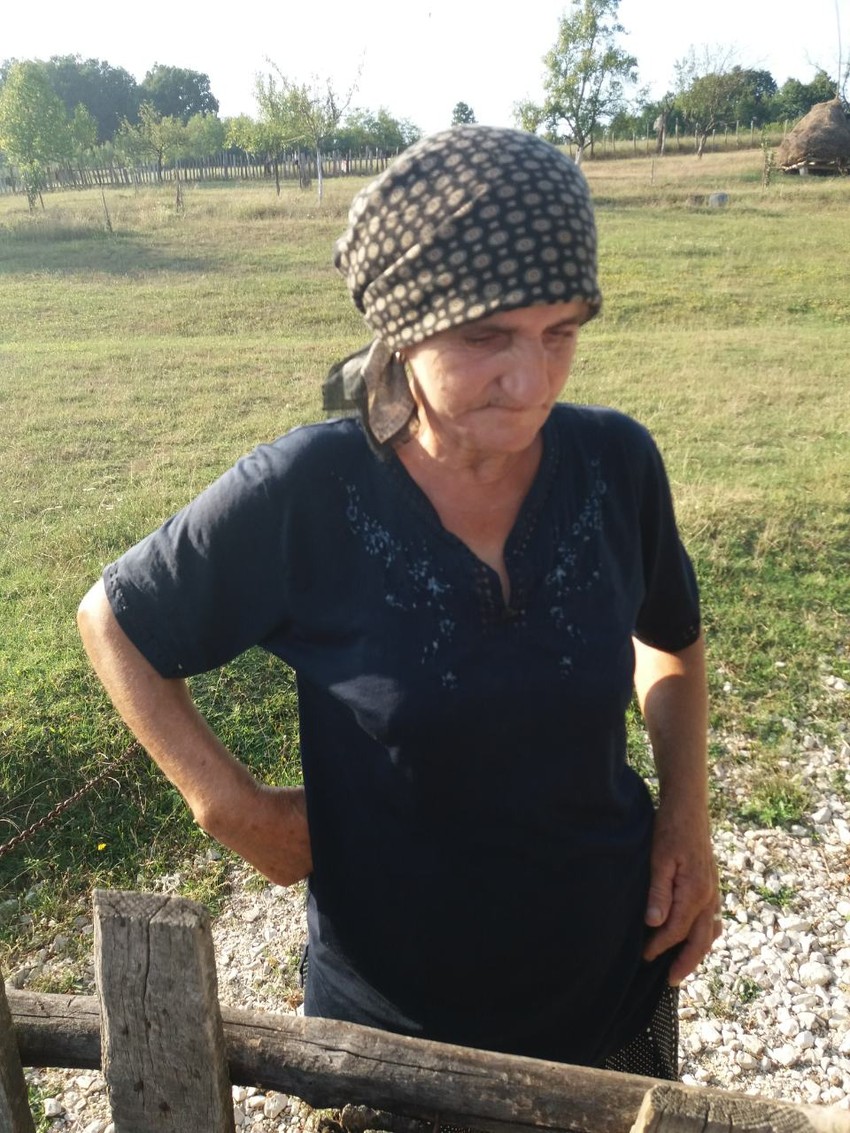 Komšinica Javorka Petrikić