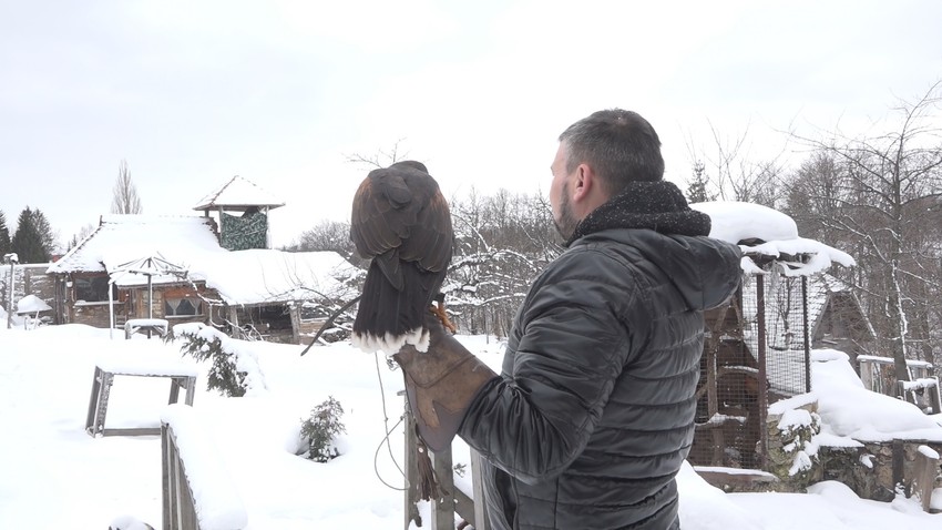 Vladimir Ilić iz Stapara 