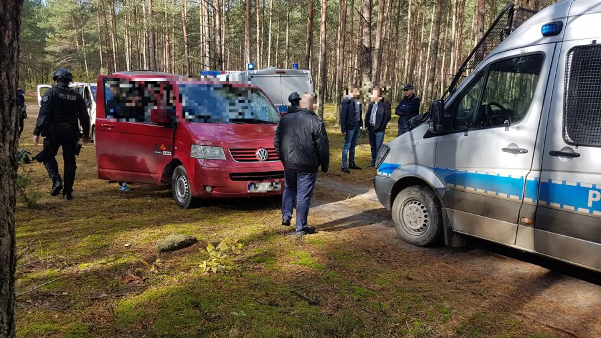 Chcieli zbierać grzyby w rękawicach do MMA. Policja zapobiegła ustawce w lesie