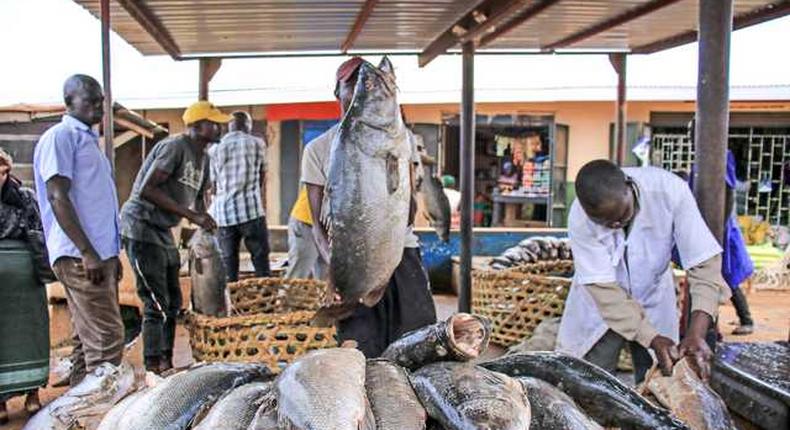 Mbarara fish vendors protest Shs422,000 excess fees/Courtesy