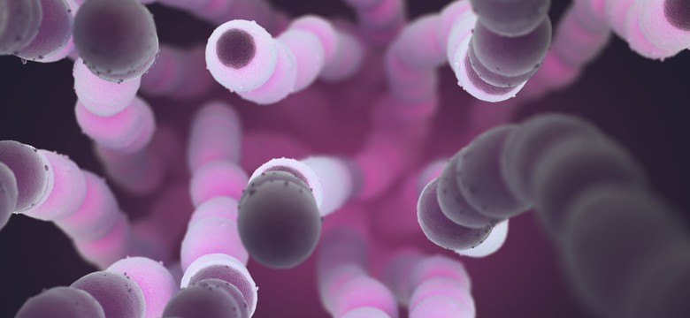 Jak uniknąć zarażenia pneumokokami? Co to za bakterie?