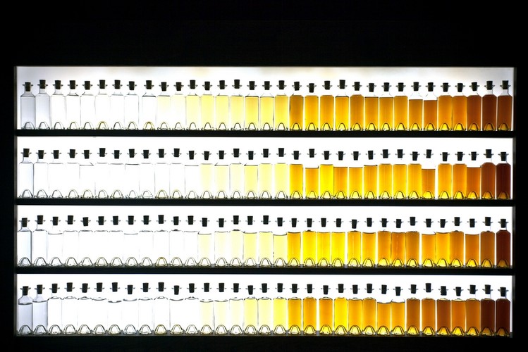 Cognac (Francja). Wystawa w siedzibie firmy Cointreau SA, pokazująca proces dojrzewania koniaku.