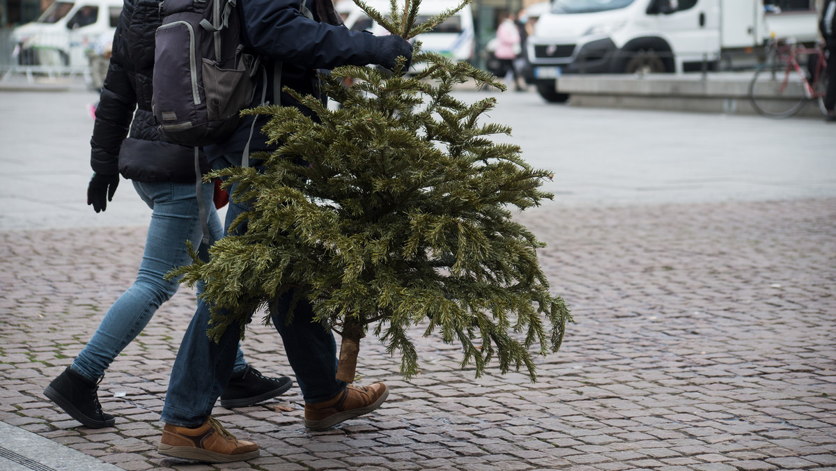 Co Zrobić Z Choinką Po świętach Kobieta 0179