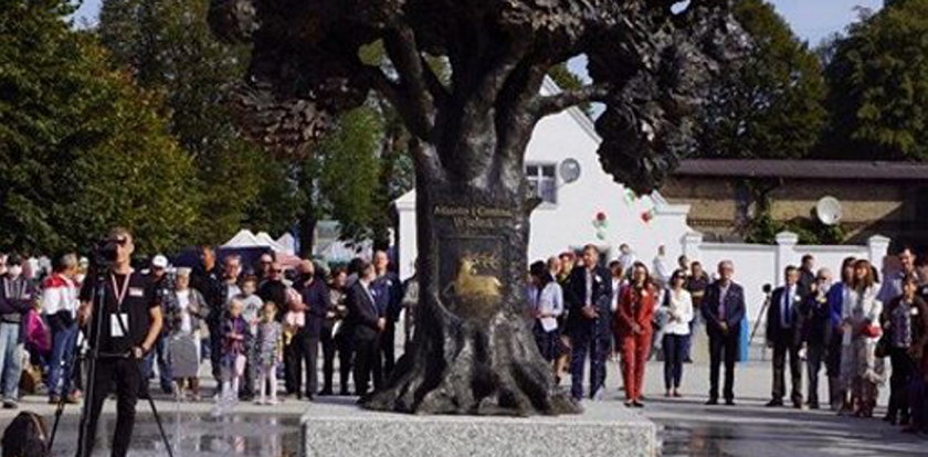 Absurdalny pomnik drzewa w Wieleniu. "Jak wszystkie drzewa wytną, pokażemy dzieciom pomnik"