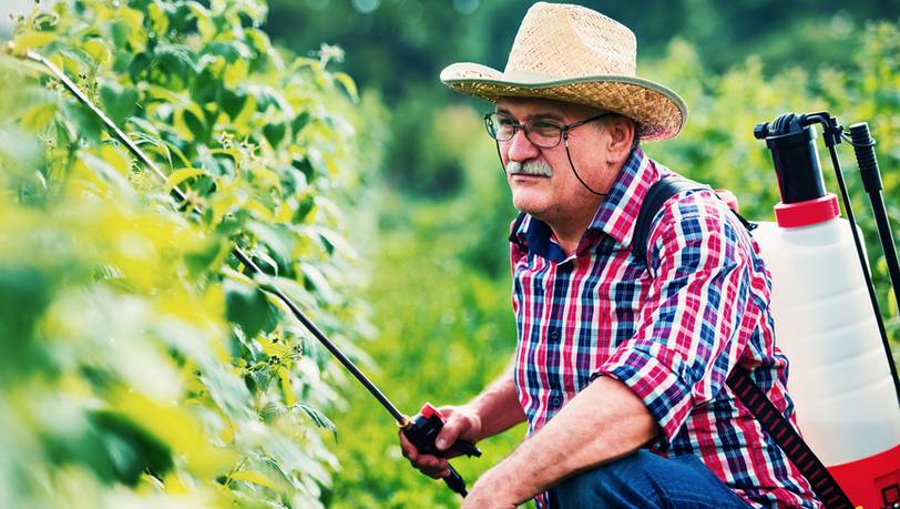 Die beliebtesten Drucksprüher von Gardena: Leichter Düngen & Pestizide verteilen