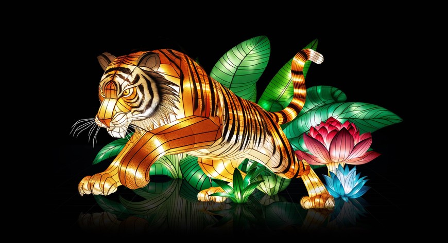 Dzięki wystawie Garden of Lights udało się zebrać środki na pomoc tygrysom na Sumatrze