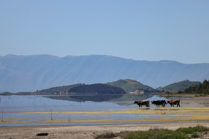 Lokacija odmarališta Džareda Kušnera u području lagune Narta, Albanija