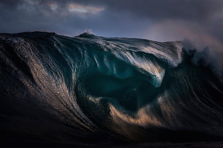 Ray Collins

