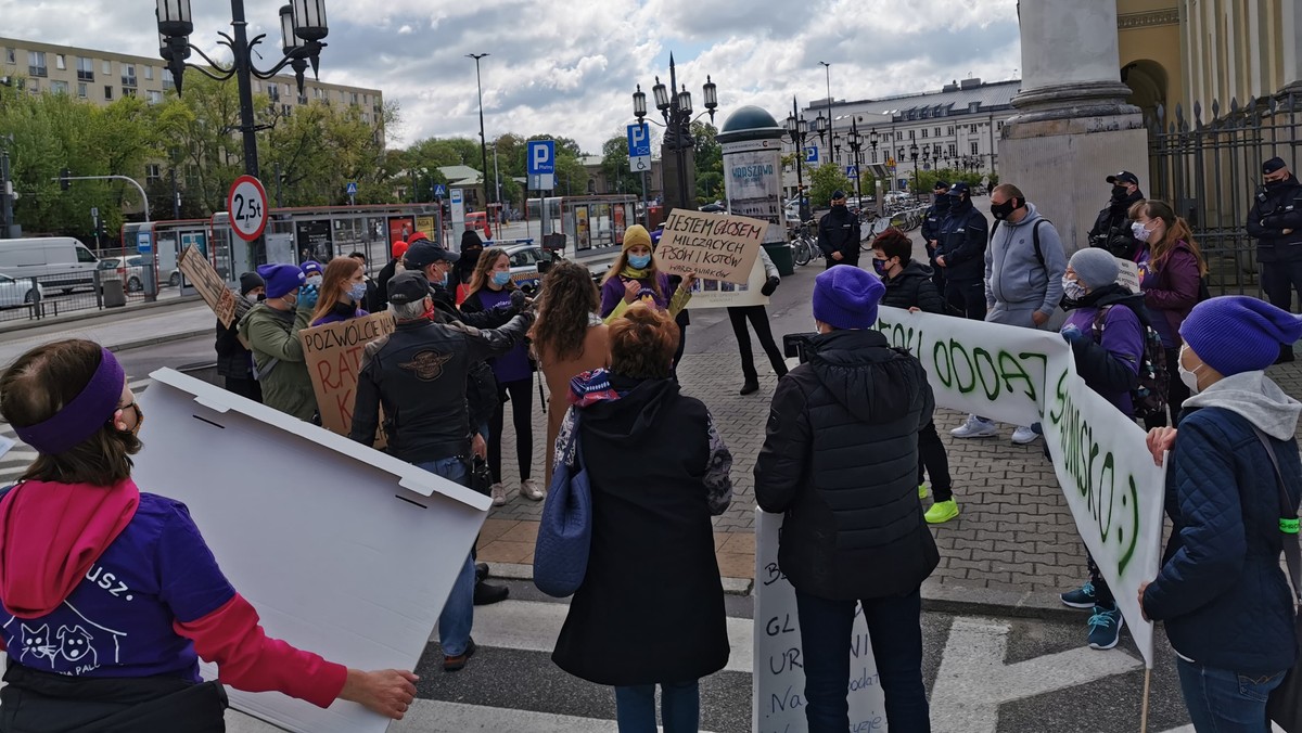 Protest wolontariuszy ze schroniska "Na Paluchu"