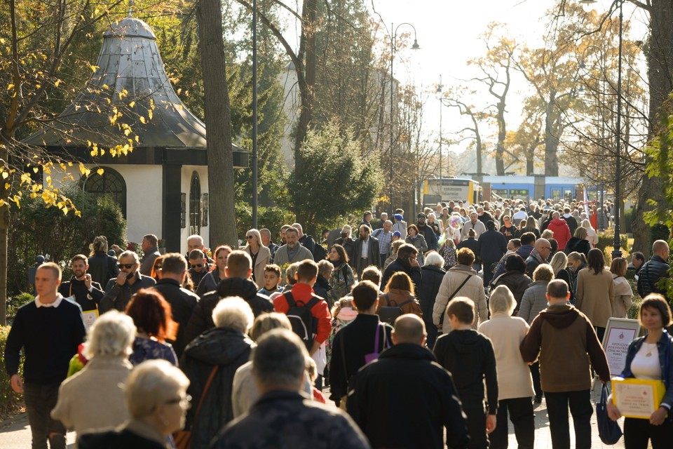 Wrocław, Cmentarz Osobowicki w dzień Wszystkich Świętych