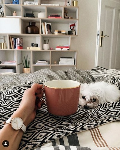 Jak mieszka Julia Wieniawa?