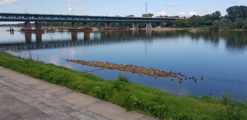 Niski stan wody w Wiśle w Warszawie