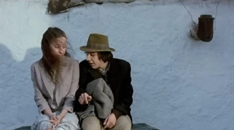 Davor Dujmović, Perhan