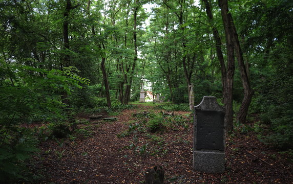 Cmentarz olęderskich osadników