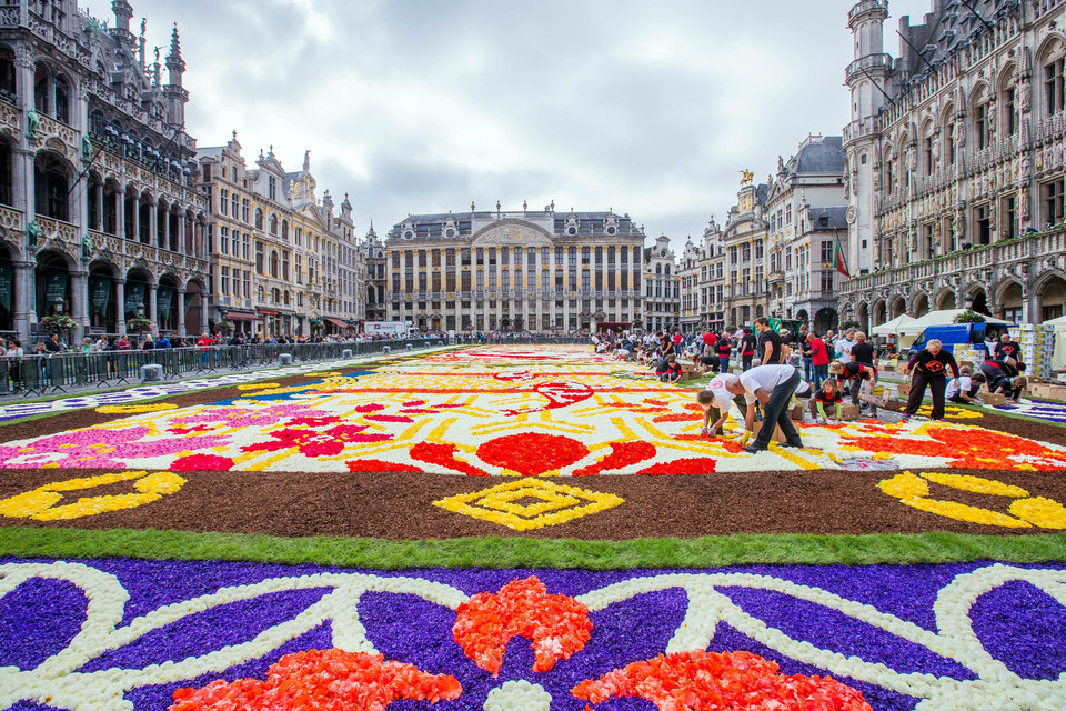 BELGIUM GIANT FLOWER CARPET (20th giant flower carpet in Brussels)