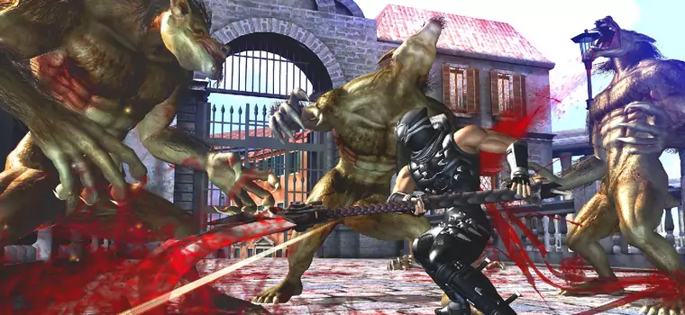 Galeria Ninja Gaiden II