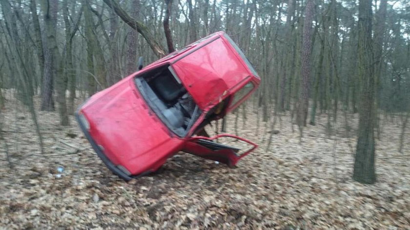 Auto wylądowało w lesie