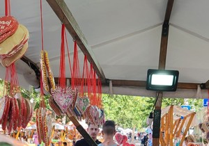 Etno festival Kladovo