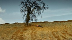 "Dzika grusza", film zdobywcy Złotej Palmy, od piątku w kinach. Zobacz polski ZWIASTUN