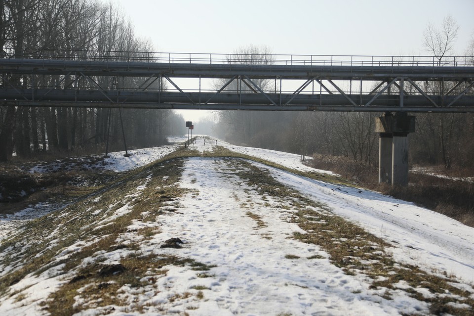 Poszukiwania ciała Jana Lityńskiego w Narwi.