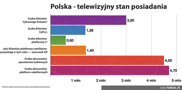 Polska - telewizyjny stan posiadania